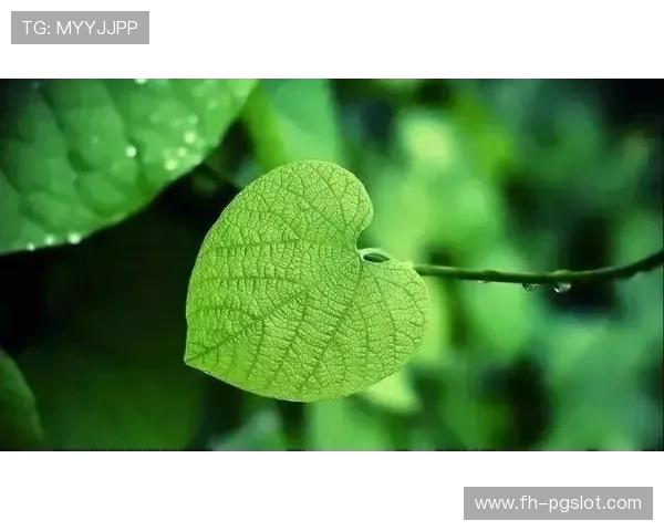 选择护眼手机 打游戏时如何减少对眼睛的伤害 选择护眼手机 打游戏时如何减少对眼睛的伤害